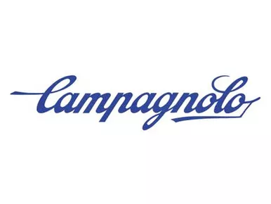 Campagnolo Bora 33 DB Front Left/Rear Right Spoke - 292.5 mm (4pcs)
