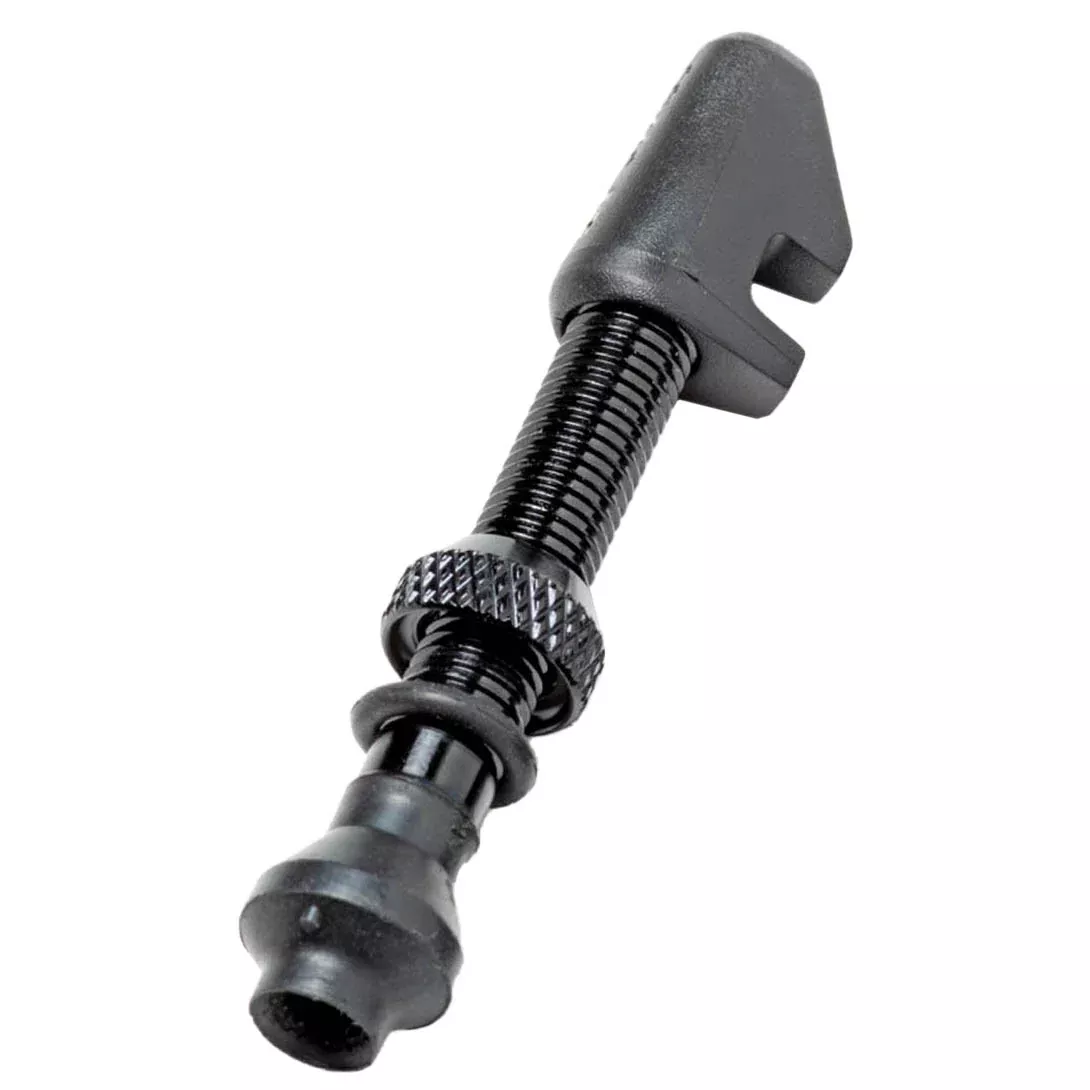 DT Swiss Aluminum Tubeless Valve - MTB or Road